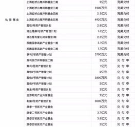 决策失序的信徒 从“车间话自由”到阜兴现形记